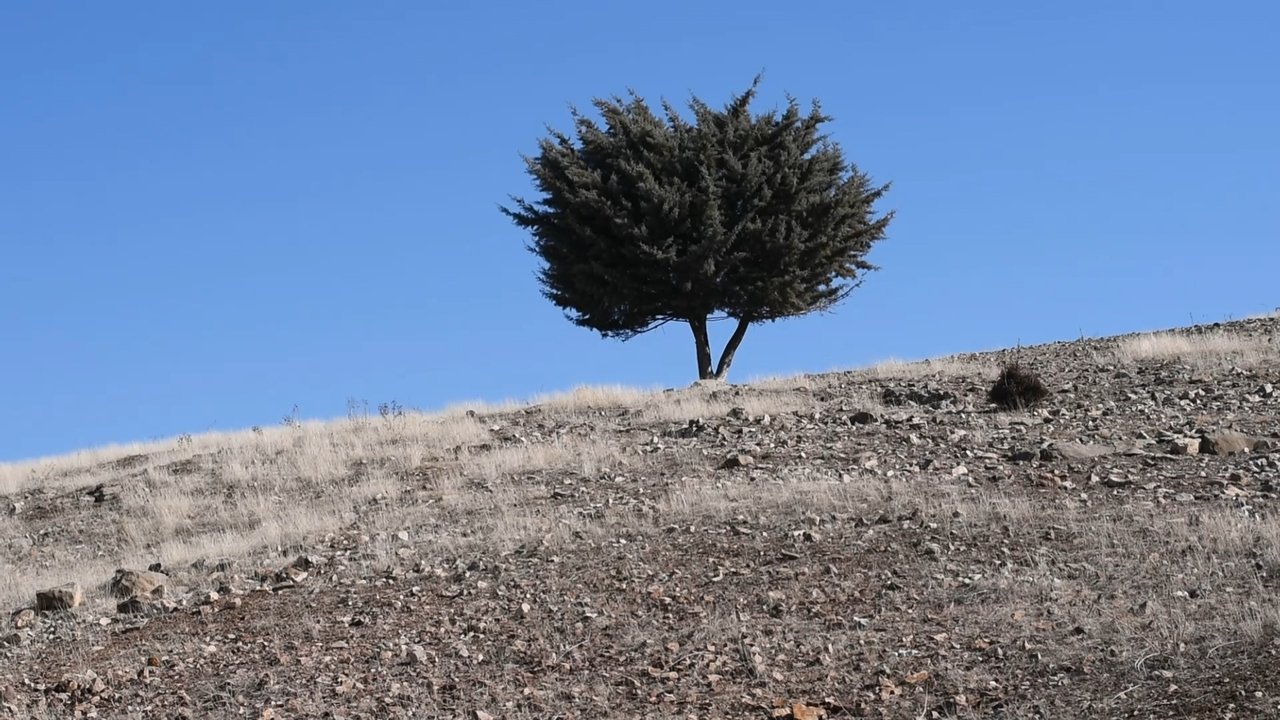 Where is the Final Destination? Movie Screenshot 2