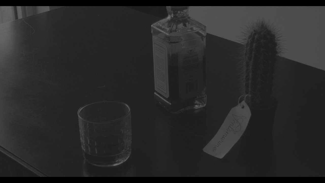 The Cactus Movie Screenshot 5